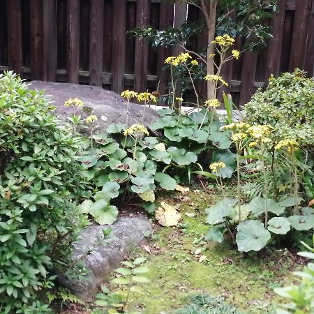 ゲストハウス山本 Gifu Extérieur photo
