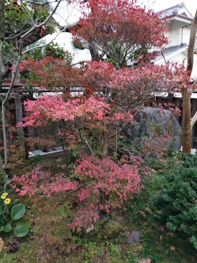 ゲストハウス山本 Gifu Extérieur photo