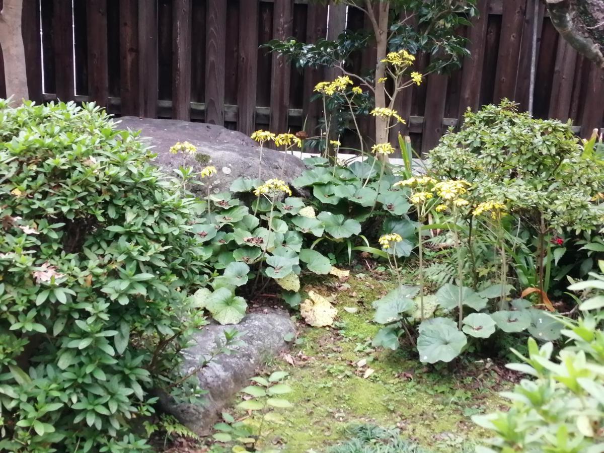 ゲストハウス山本 Gifu Extérieur photo