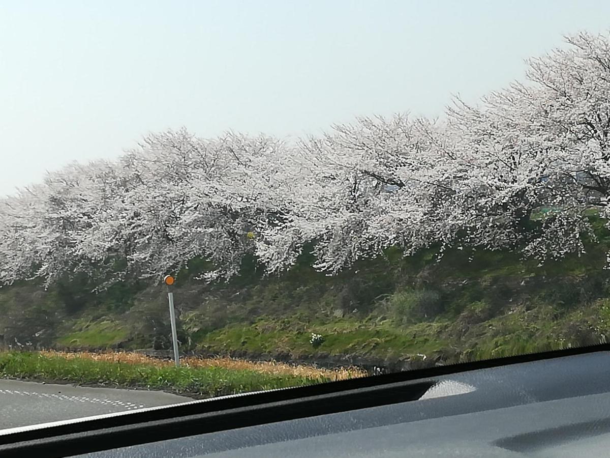 ゲストハウス山本 Gifu Extérieur photo